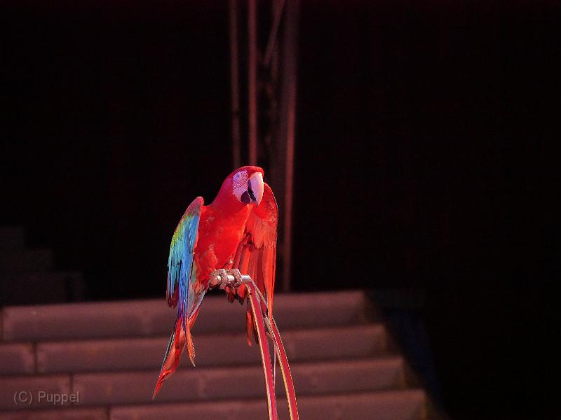 P4710787.JPG