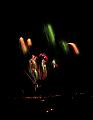 T-20180902-213212_IMG_9166-6a