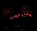 T-20180902-214006_IMG_9230-6a