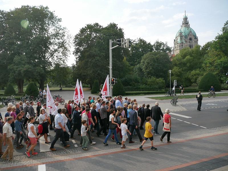 P4950275.JPG