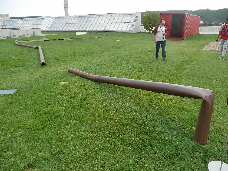 P5110654.JPG