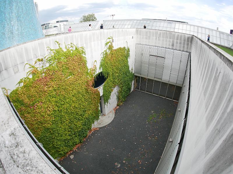 P5110816.JPG