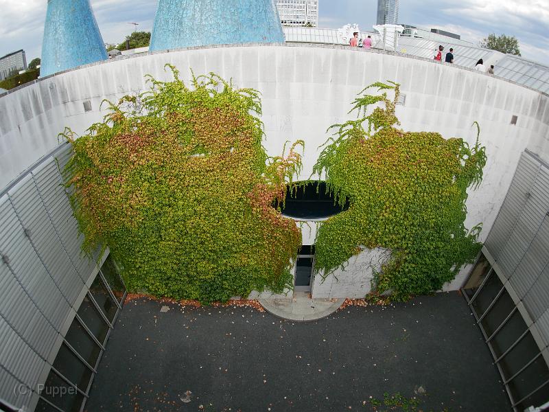 P5110822.JPG