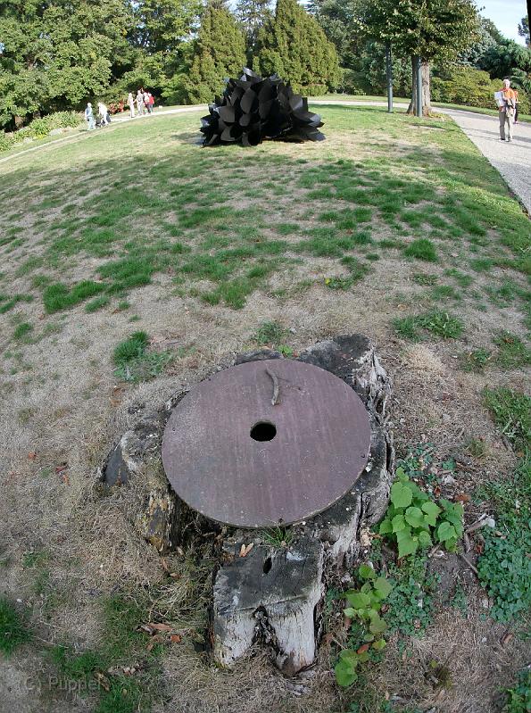 P5380940a.jpg