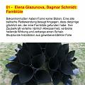 AA_0006-