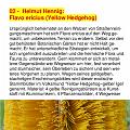 AA_0007-