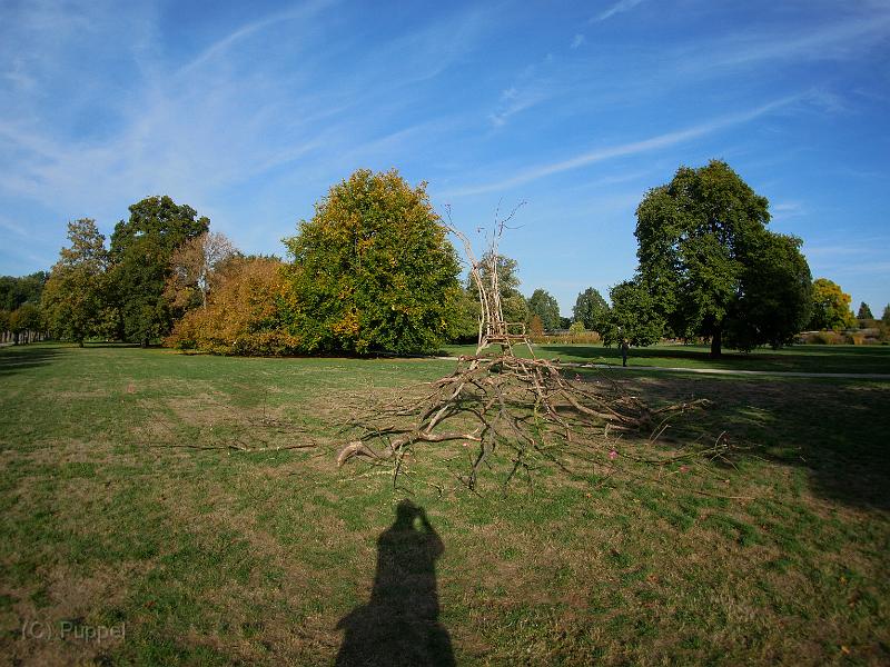 P5390050.JPG