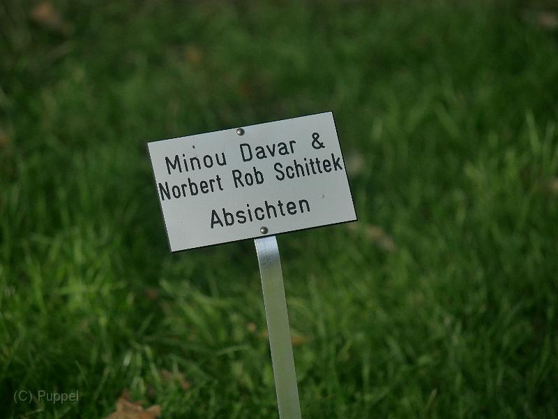 B_P5380929.JPG