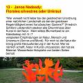 AA_0018-