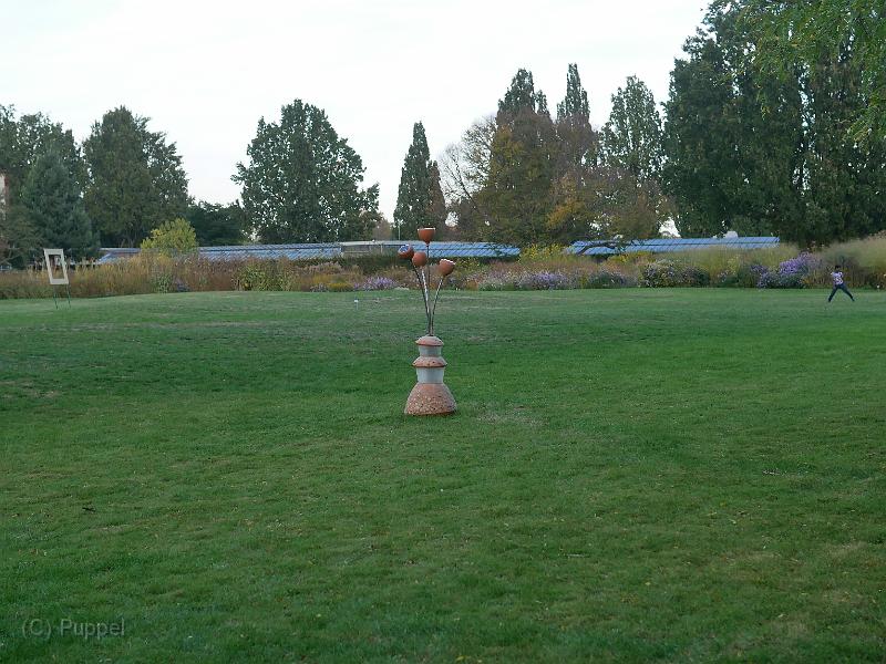 P5390267.JPG