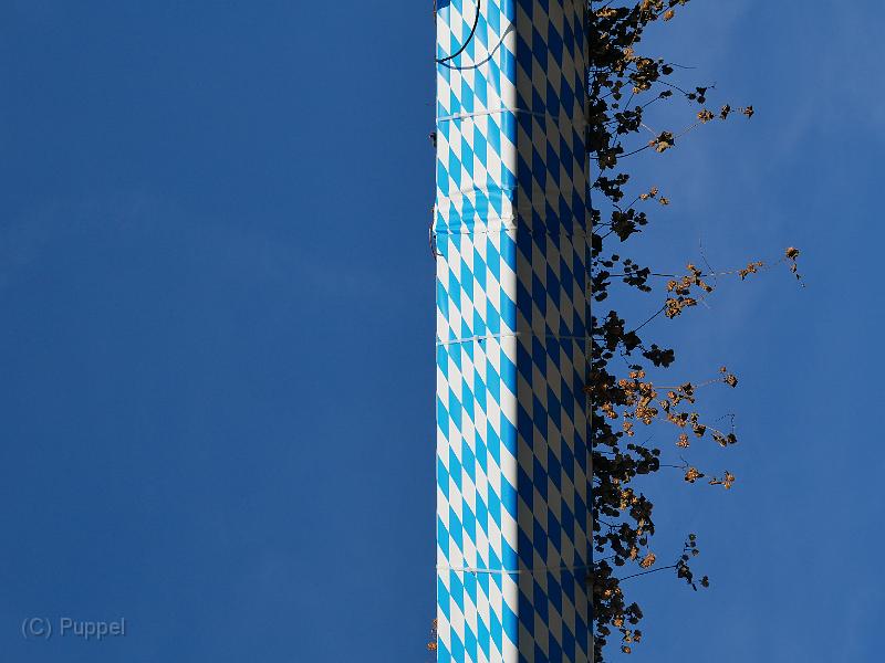 P5480650.JPG