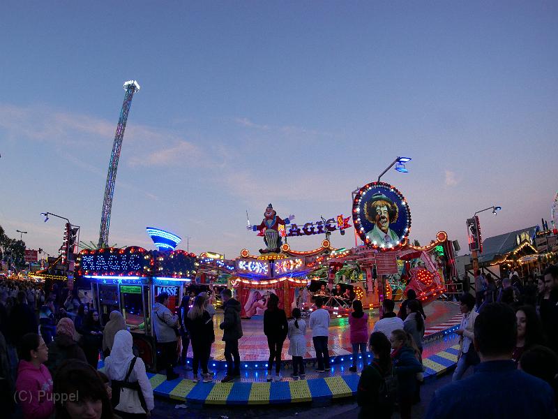 P5490417.JPG