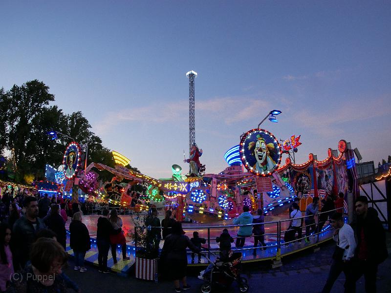 P5490446.JPG
