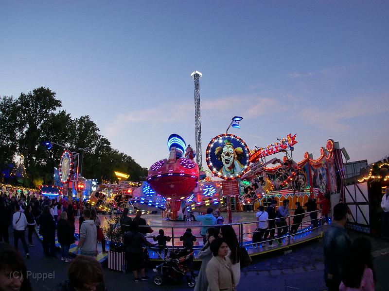 P5490452.JPG