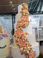 IMG_20181014_150606014