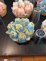 IMG_20181014_150653225