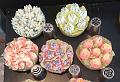 IMG_20181014_150843284a