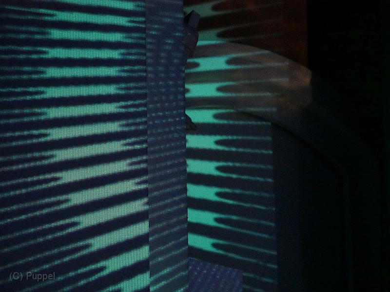 P5800889.JPG