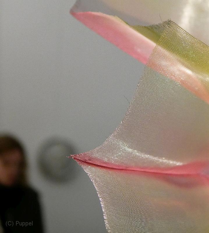 P6810999a.jpg