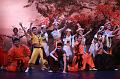T-20181220-213154_IMG_8028-7
