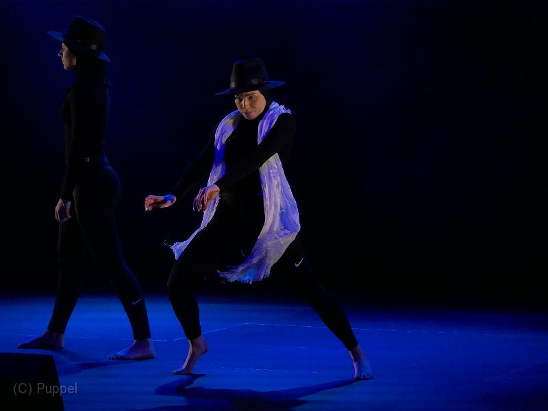 T-20190112-163032_P7630432-gx1.JPG