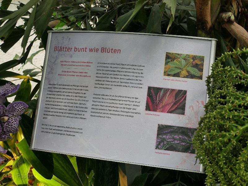P7950115.JPG