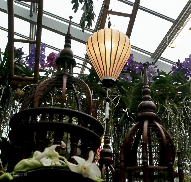 P7950158a.jpg