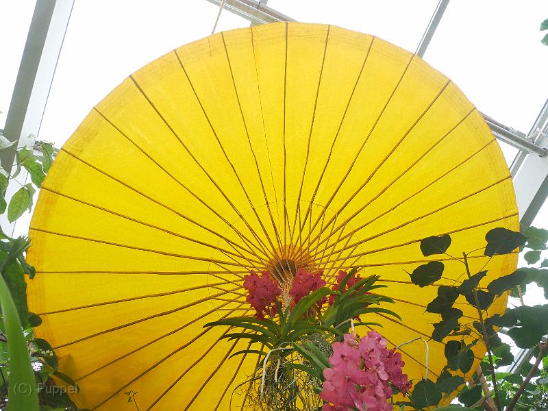 P7950386.JPG