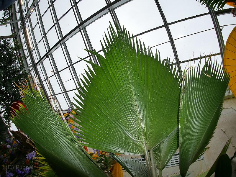 P7950584.JPG