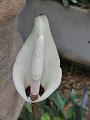 P7950223