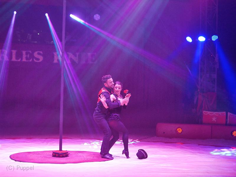 T-20190320-200834_P8830558.JPG