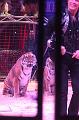 T-20190320-210649_IMG_7915