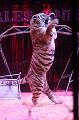 T-20190320-211654_IMG_8391