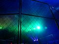 T-20190320-212016_P8320417