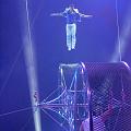 T-20190320-221958_P8850001a