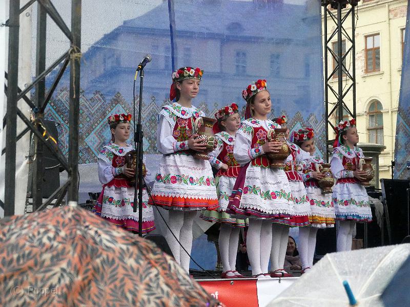 P1230251.JPG