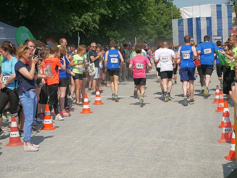 T-20190605-142955_P1650880-gx1.JPG