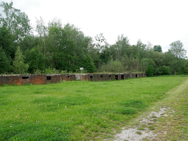 P1680781.JPG