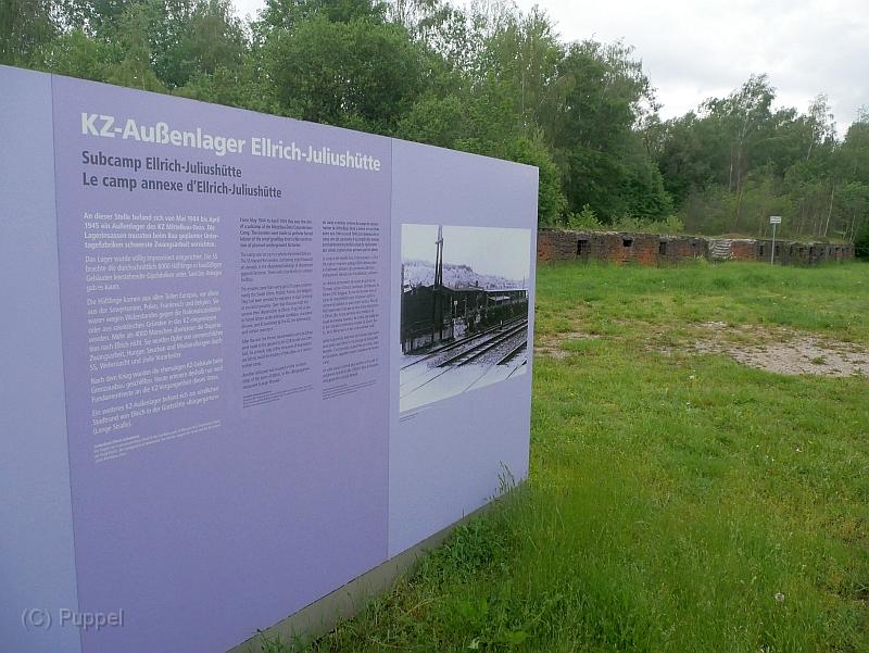 P1680827.JPG