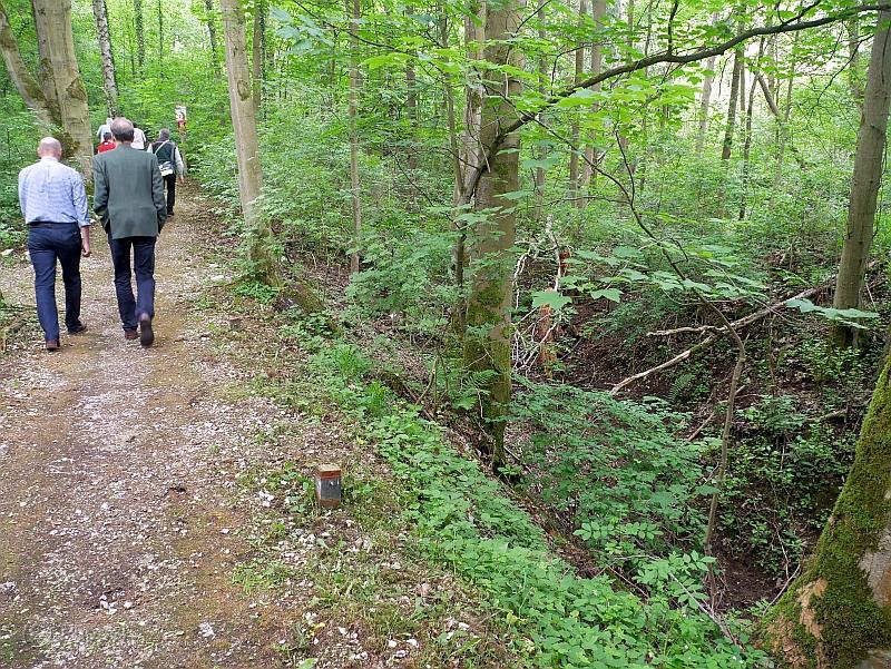 P1680891.JPG