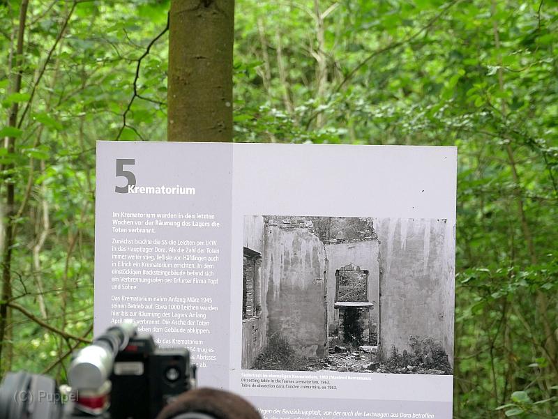 P1680900.JPG
