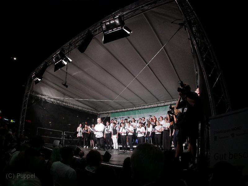 T-20190621-230130_P8450726-gx0.JPG