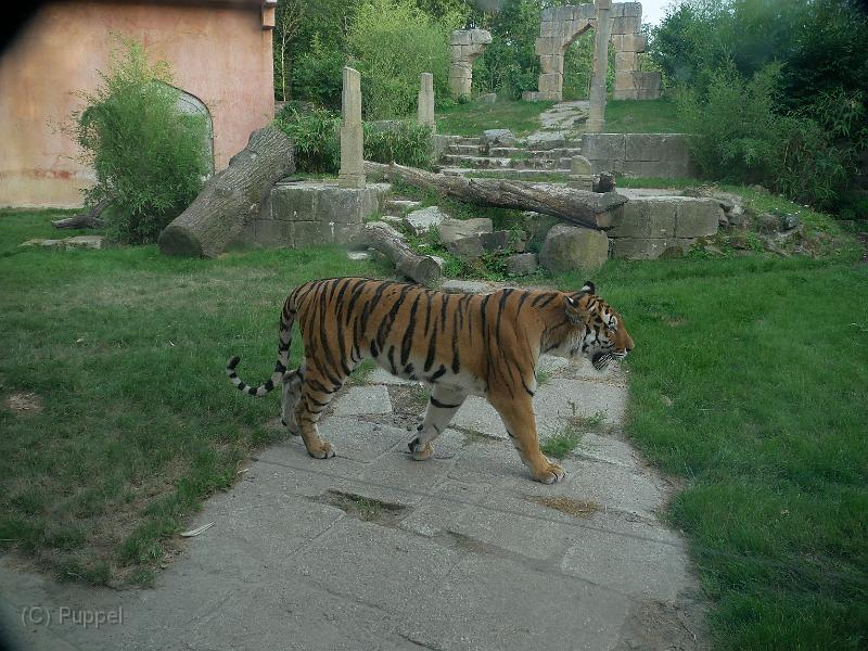 P2410649.JPG