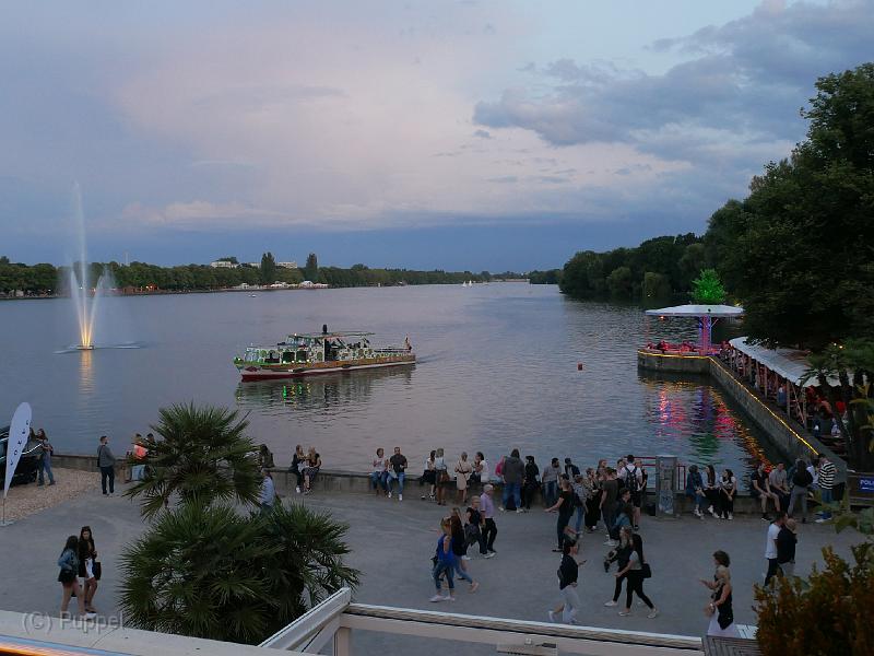 T-20190731-211354_P2910631-gx1a.jpg