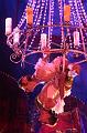 T-20190830-221722_IMG_5320-7a