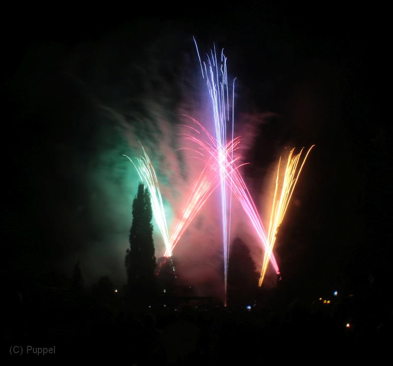y-IMG_6372.JPG