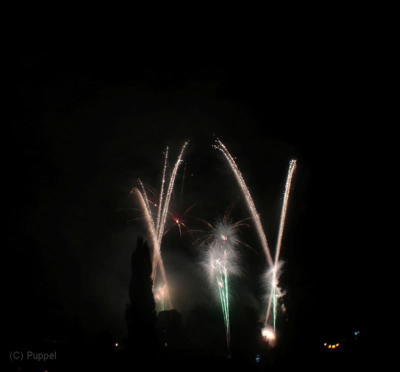 T-20190901-213926_IMG_6390-7.JPG