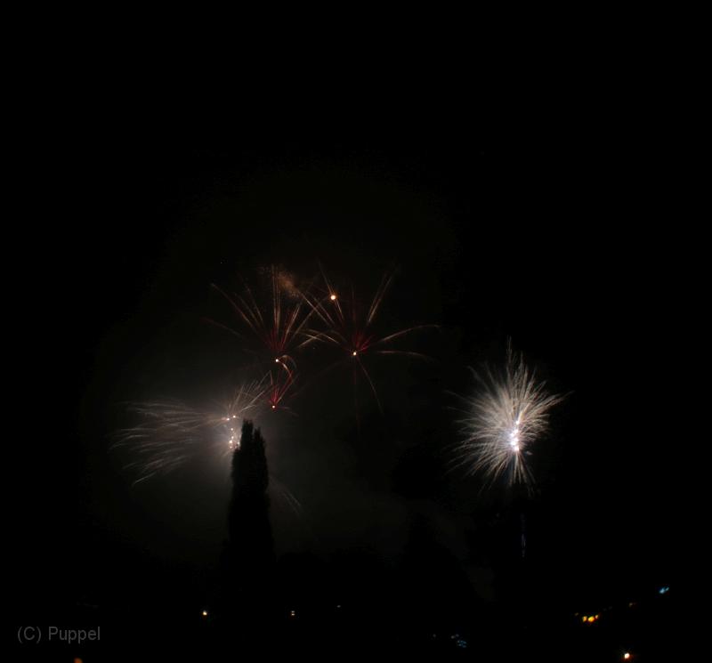 T-20190901-214311_IMG_6408-7.JPG