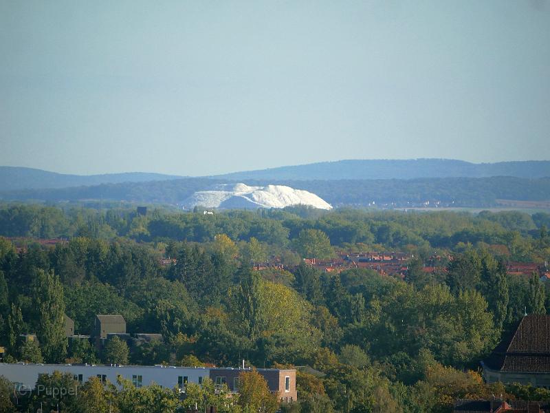 P3960998a.jpg