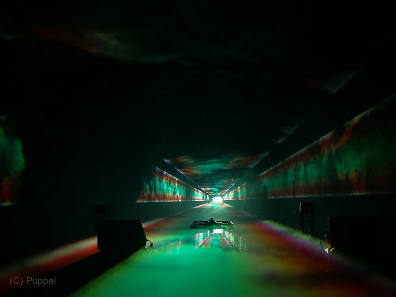 T-20190928-210056_P8750996-gx0.JPG